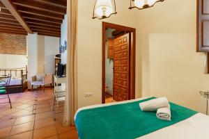 Posteľ alebo postele v izbe v ubytovaní Charminghomesgranada Apartamento Fajalauza