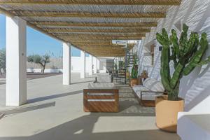 un patio con sillas, una mesa y una planta en Moott Homes Suites Villa Costacabana en Almería