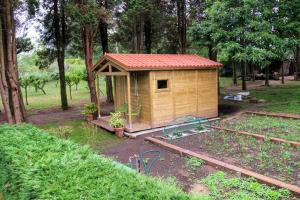 Vonkajšia záhrada v ubytovaní Pazo de Ceilán