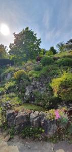 En have udenfor D'Hestia - Gîte avec vue imprenable sur Huy