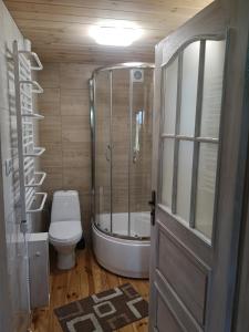a bathroom with a shower and a toilet and a tub at Domek pod lasem podlaskie in Moszczona Pańska +38 photos