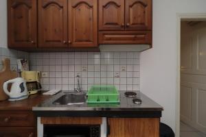 a kitchen with a sink with a green tray on it at Villa Aristea in Kalo Chorio
