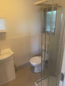 a bathroom with a toilet and a glass shower at Self catering apartment at Beechwalk House. in Enniskerry