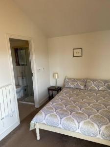 um quarto com uma cama e uma casa de banho em Self catering apartment at Beechwalk House. em Enniskerry