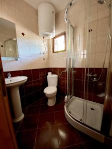 een badkamer met een toilet, een wastafel en een douche bij Apartmani Stanojevic in Kotor