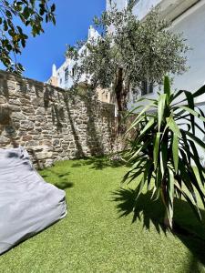 um quintal com uma parede de pedra e uma planta em Matogianni Hotel em Míconos