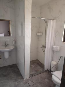 a bathroom with a shower and a sink and a toilet at Black Iris Hotel in Madaba