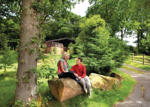 a man and woman sitting on a rock under a tree at Springwood Lodges in Harrogate