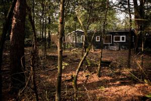 Fotografie z fotogalerie ubytování Magisch huisje direct aan het Veluwse bos. v destinaci Putten