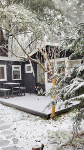 Fotografie z fotogalerie ubytování Magisch huisje direct aan het Veluwse bos. v destinaci Putten