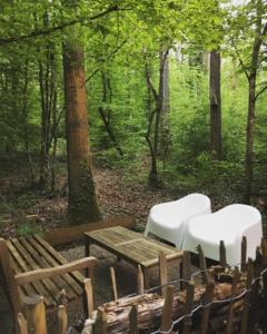two chairs and a table in the woods at Chalet Woods in Durbuy