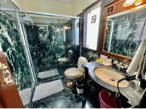 un bagno con doccia, lavandino e WC di Umaid Mahal - A Heritage Style Boutique Hotel a Jaipur