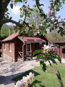 un piccolo edificio in legno con fiori rosa di fronte di Зачаровані Карпати, Воловець a Volovets