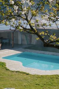 a swimming pool in a yard with a tree at Oberwirtshof in Rifiano