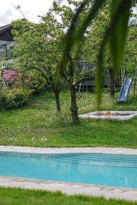 a blue swimming pool in a yard with a slide at Oberwirtshof in Rifiano