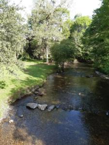 un fiume con rocce in mezzo a una foresta di La maison du village a Encausse-les-Thermes