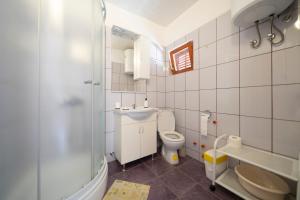 een badkamer met een toilet, een wastafel en een douche bij Studio Apartman Ema in Gornji Karin