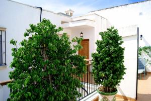 dos árboles en macetas en un balcón de una casa en Casa Palacio Luna, en El Puerto de Santa María