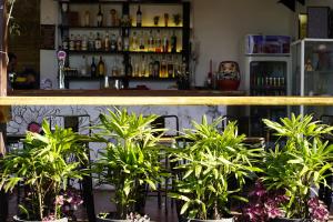 a bar with potted plants in front of a counter at WHITE SAND ARK RESORT in Koh Rong Island +108 photos