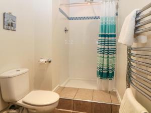 a bathroom with a toilet and a shower at Blackberry Cottage in Kingsbridge +27 photos