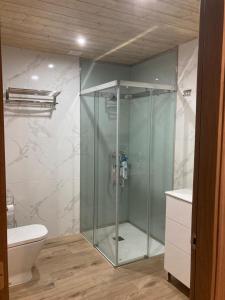 uma casa de banho com uma cabina de duche em vidro e um WC. em Apartamento Blanco em Mazaricos