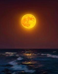 a full moon rising over the ocean at night at Renaissance in Bou Ficha