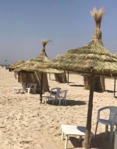 a group of straw umbrellas and chairs on a beach at Renaissance in Bou Ficha