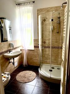 W łazience znajduje się prysznic i umywalka. w obiekcie Agroturystyka Hotel Noclegi Pałac Camping w Wałczu