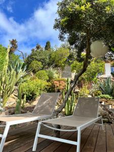 a pair of chairs on a deck with cacti at La roche aux mouettes Ile du Levant in Île du Levant