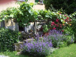 Giardino di Casa Gialla B&B