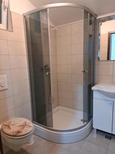 Koupelna v ubytování Apartman Ema 2