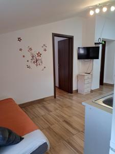 TV a/nebo společenská místnost v ubytování Apartman Ema 2