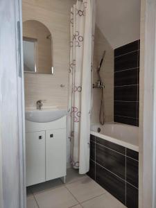 a bathroom with a sink and a tub and a shower at AsPa in Ostrowo