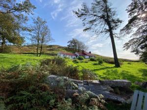 a house on a hill with green grass and trees at The Drovers Cabin in Kirkcudbright