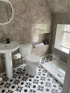 a bathroom with a toilet and a sink at Little Limetree in Moffat