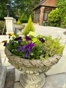 a stone planter with purple and yellow flowers in it at Maywoods Apartment in Virginia Water