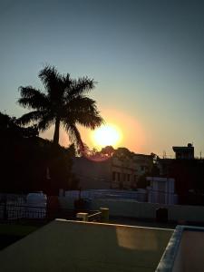 a sunset with a palm tree in the background at Hotel Kanchan Dehradun in Dehradun