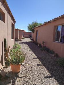 un callejón con cactus y plantas frente a un edificio en Cabañas Rica-Rica Lodge en San Pedro de Atacama
