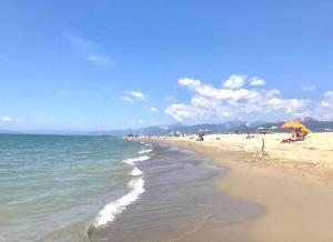 a beach with people sitting on the sand and the ocean at Via Puccini 217 in Viareggio