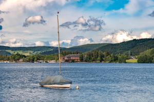 una barca a vela seduta in mezzo a un lago di Fewo Schwarzwaldstern 1, Todtnau, 3 Schlafzimmer a Todtnau