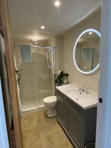 a bathroom with a sink and a toilet and a mirror at Avondale New Forest in Godshill