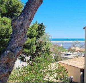 a view of the beach from a tree at Résidence le Formentor in Leucate