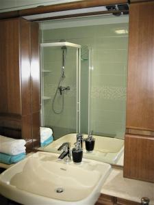 uma casa de banho com um lavatório, um chuveiro e um espelho. em Appartamento Vacanze da Jolanda em Tarvisio