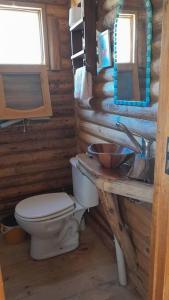 baño con aseo y lavamanos en una cabaña de madera en Los Cardones Tiny House en Potrerillos