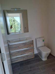 een badkamer met een toilet, een wastafel en een spiegel bij Casa en Tarela, Porto do Son in Porto do Son