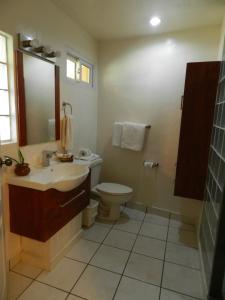 a bathroom with a toilet and a sink and a mirror at Honduyate in Las Marías