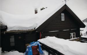 Una casa con nieve en el techo. en Beautiful Home In Stranda With 2 Bedrooms And Sauna en Stranda