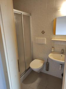 a bathroom with a shower and a toilet and a sink at Pension Lucknerhof in Maranza