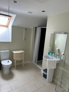 a bathroom with a toilet and a sink and a mirror at The Wickerman Granary in Kirkcudbright