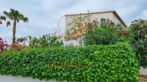 a hedge in front of a house with a building at CASA BACANA. MORAIRA- LIVE IT COSTABLANCA in Moraira